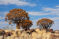 Fort de Keetmanshoop - Namibie