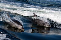 Walvis Bay - Namibie