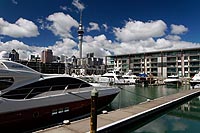 new zealand experience : auckland