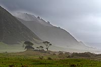 new zealand experience : hichs bay, east cape