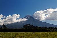 new zealand experience : egmont national park