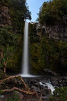 new zealand experience : egmont national park