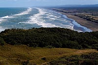 new zealand experience : muriwai beach