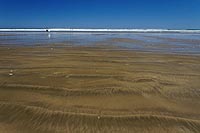 new zealand experience : ninety miles beach, péninsule d'Aupori et Cap Reinga