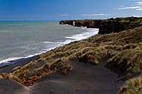 new zealand experience : patea