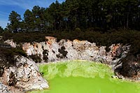 new zealand experience : wai-o-tapu thermal wonderland