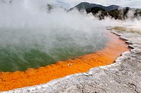 new zealand experience : champagne pool, wai-o-tapu thermal wonderland