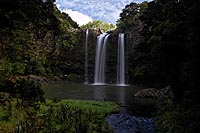 new zealand experience : Whangarei Falls