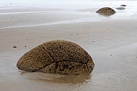 new zealand experience : Moeraki Boulders