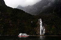 new zealand experience : Fiordland National Park