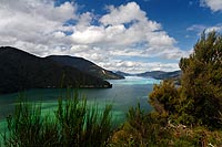 new zealand experience : Marlborough Sounds