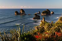 new zealand experience : Paparoa National Park