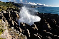 new zealand experience : Paparoa National Park