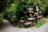 new zealand experience : Shantytown