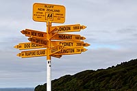 new zealand experience : Southland et la région des Catlins