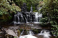 new zealand experience : Southland et la région des Catlins