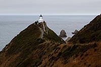 new zealand experience : Southland et la région des Catlins