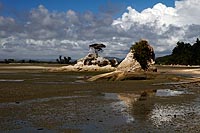 new zealand experience : Abel Tasman National Park