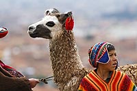 Route vers Cuzco - Pérou