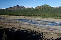 Alaska & Yukon : Denali National Park