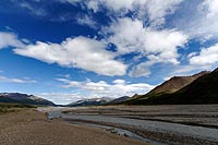 Alaska & Yukon : Denali National Park