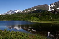 Alaska & Yukon : Richardson highway