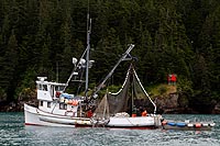 Alaska & Yukon : Prince William Sound, Valdez