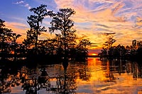 Louisiane experience : lake Martin