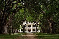 Louisiane experience : Rosedown plantation