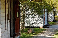 Louisiane experience : rural life museum à baton rouge