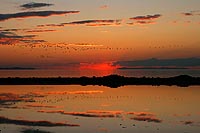 galerie photos 1 du antelope island state park en utah