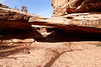 galerie photos 2 du Capitol Reef National Park en Utah