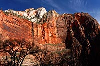 galerie photos 2 du zion national park en arizona