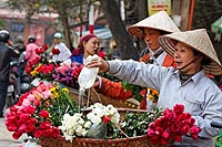 Vietnam experience : Hanoi