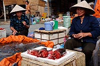 Vietnam experience : le marché de Hoàn Hà